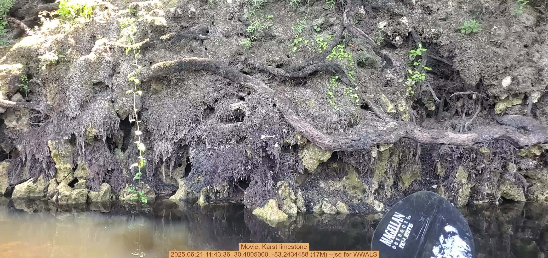 Movie: Karst limestone, 2025:06:21 11:43:36, 30.4805000, -83.2434488 (17M) --jsq for WWALS