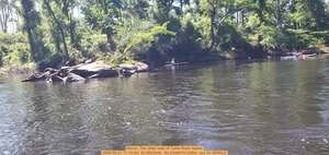 [Movie: The other side of Turtle Rock Island, 2025:06:21 11:10:29, 30.4933349, -83.2409479 (20M) --jsq for WWALS]