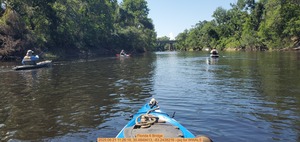 [Florida 6 Bridge, 2025:06:21 11:26:16, 30.4849413, -83.2438216 --jsq for WWALS]