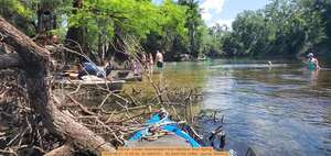 [Movie: Cooler downstream from Madison Blue Spring, 2025:06:21 11:35:49, 30.4804721, -83.2440192 (30M) --jsq for WWALS]