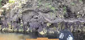 [Movie: Karst limestone, 2025:06:21 11:43:36, 30.4805000, -83.2434488 (17M) --jsq for WWALS]