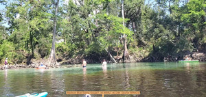 [Madison Blue Spring Gauge?, 30.48082, -83.244 --jsq for WWALS]