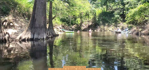 [Swimmers in Tanner Spring, 2025:06:21 13:09:24, 30.4644269, -83.2180431 --jsq for WWALS]