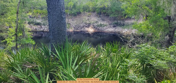 [At the Suwannee River, 2025:06:21 15:03:30, 30.3421539, -82.8262533 --jsq for WWALS]