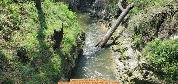 [Downstream, Swift Creek, Florida Trail, 2025:06:21 15:12:55, 30.3460970, -82.8267459 --jsq for WWALS]