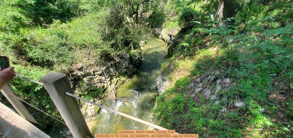 [Upstream, Swift Creek, Florida Trail, 2025:06:21 15:13:04, 30.3460970, -82.8267459 --jsq for WWALS]