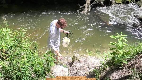 [Movie: Gee retrieving the sample bucket, 2025:06:21 15:15:48, 30.34604, -82.8267459 (20M) --jsq for WWALS]
