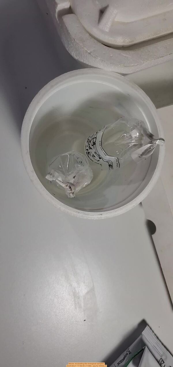 [Movie: Incubating the biological samples, 2025:06:21 17:59:40 (110M) --jsq for WWALS]