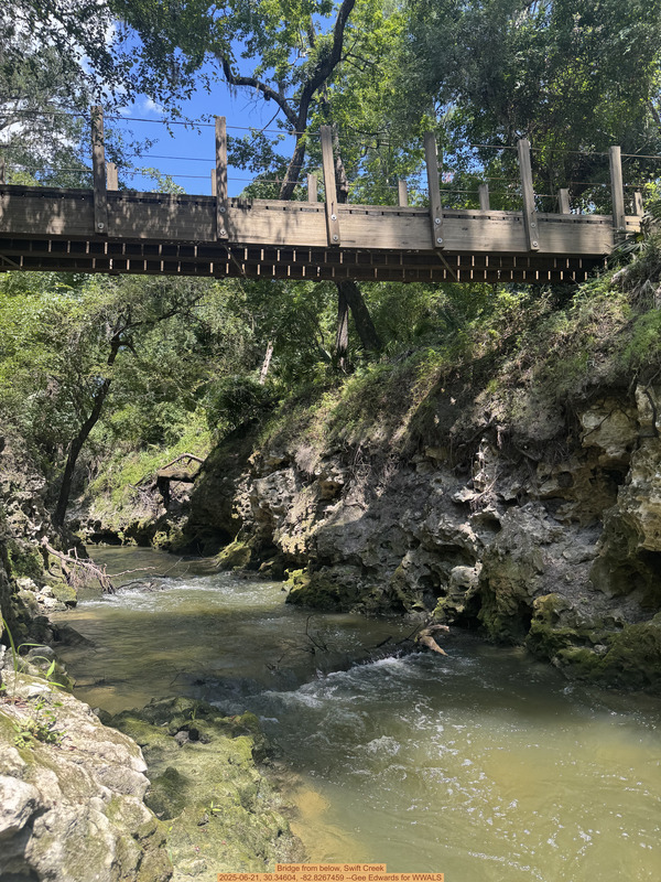 [Bridge from below, Swift Creek, 2025-06-21, 30.34604, -82.8267459 --Gee Edwards for WWALS]