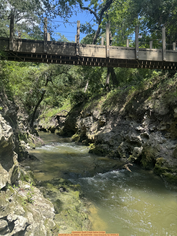 Upstream Swift Creek below bridge, 2025-06-21, 30.34604, -82.8267459 --Gee Edwards for WWALS
