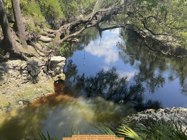 [Swift Creek Confluence, Suwannee River, 2025-06-21, 30.34575, -82.8271 --Gee Edwards for WWALS]