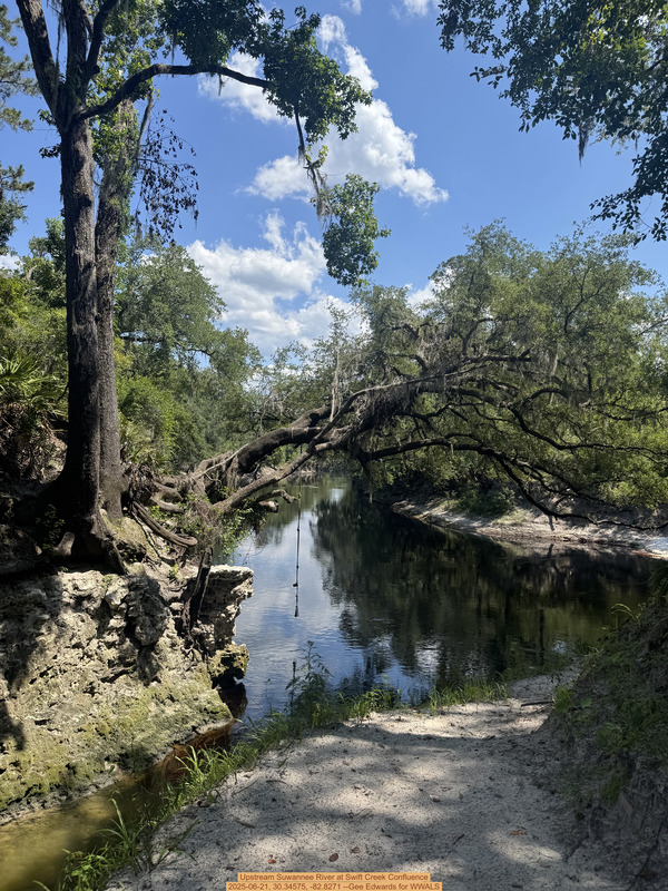 [Upstream Suwannee River at Swift Creek Confluence, 2025-06-21, 30.34575, -82.8271 --Gee Edwards for WWALS]