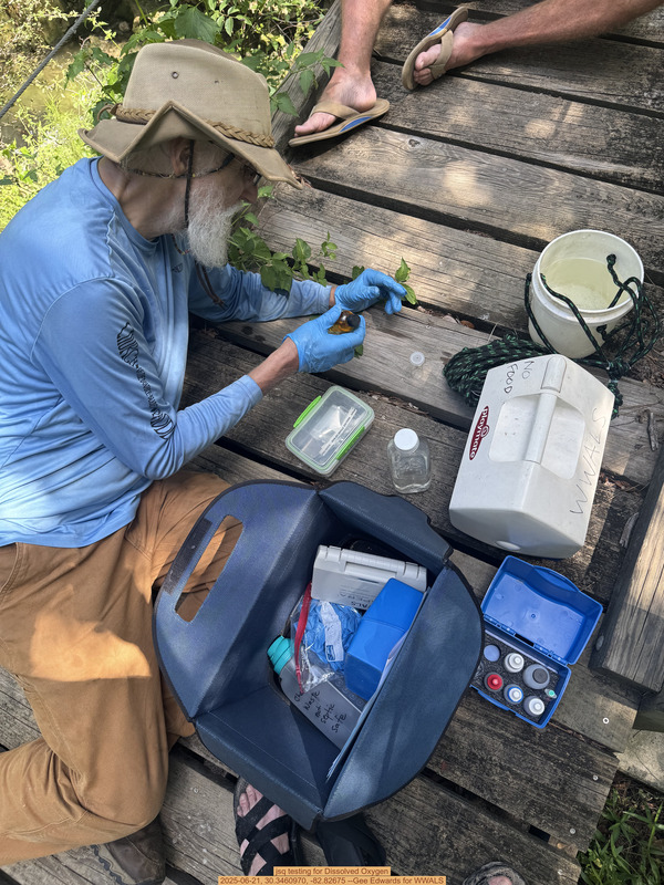 [jsq testing for Dissolved Oxygen, 2025-06-21, 30.3460970, -82.82675 --Gee Edwards for WWALS]