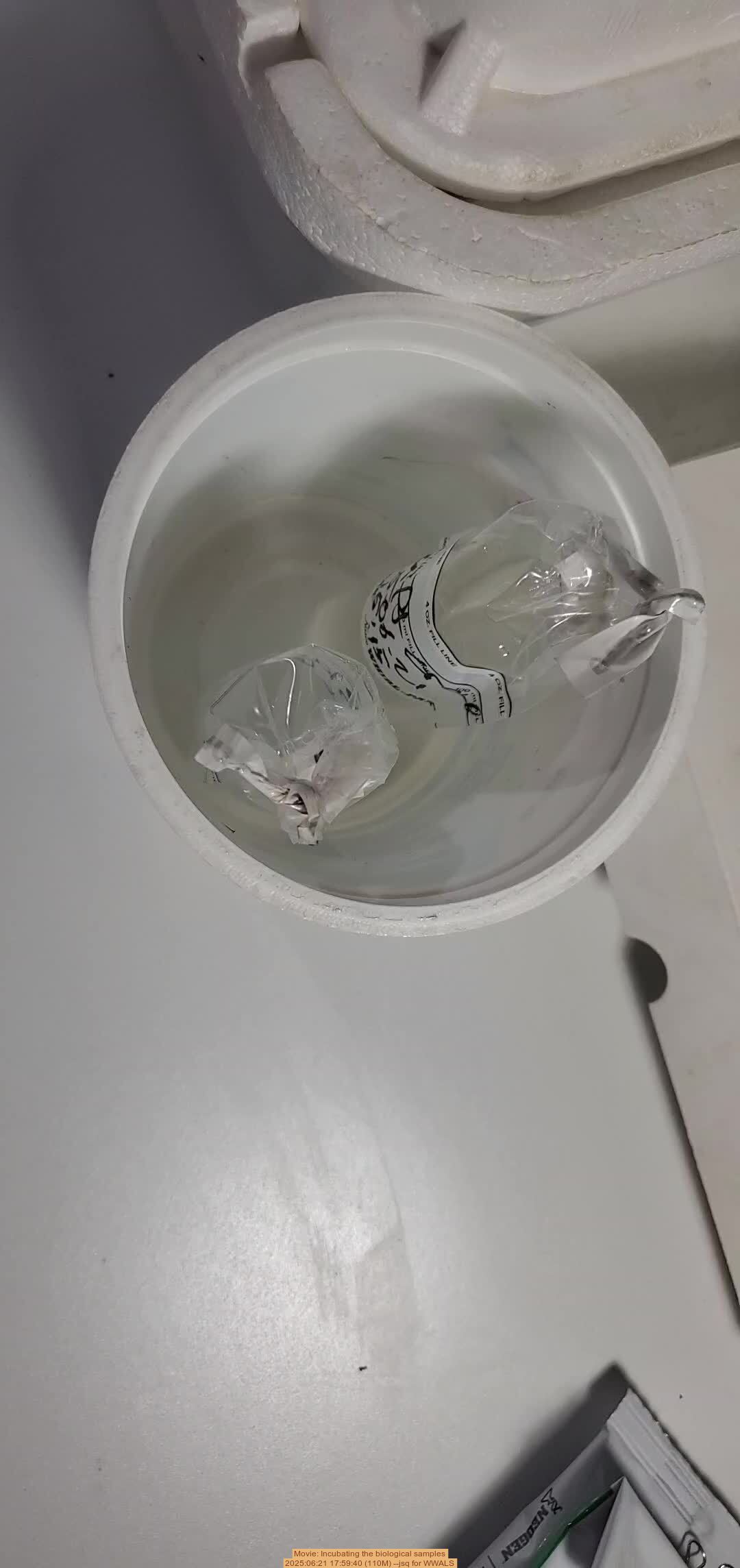 Movie: Incubating the biological samples, 2025:06:21 17:59:40 (110M) --jsq for WWALS