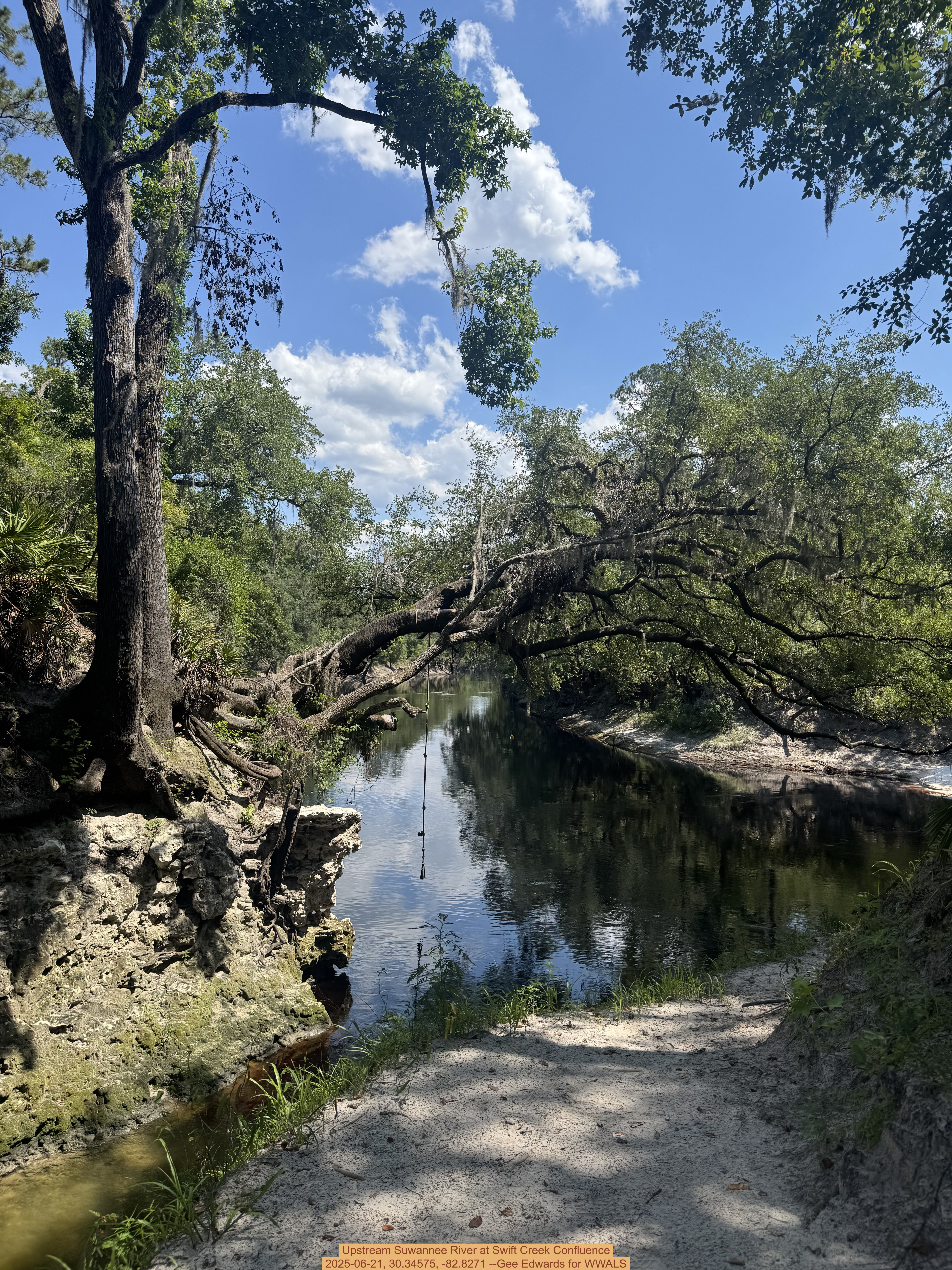 Upstream Suwannee River at Swift Creek Confluence, 2025-06-21, 30.34575, -82.8271 --Gee Edwards for WWALS