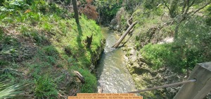 [Downstream with bridge, Swift Creek, Florida Trail, 2025:06:21 15:13:01, 30.3460970, -82.8267459 --jsq for WWALS]