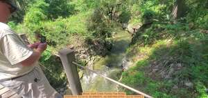 [Movie: Swift Creek Florida Trail Bridge, 2025:06:21 15:13:12, 30.3460970, -82.8267459 (57M) --jsq for WWALS]