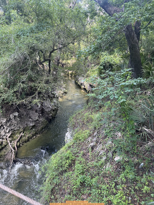 [Upstream, Swift Creek, FT, 2025-06-21, 30.3460970, -82.8267459 --Gee Edwards for WWALS]