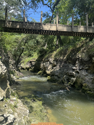 [Upstream Swift Creek below bridge, 2025-06-21, 30.34604, -82.8267459 --Gee Edwards for WWALS]