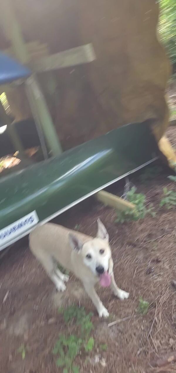 [Movie: Sky Dog (14M)]