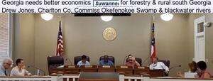 [Georgia needs better economics, for forestry & rural south Georgia, Drew Jones, Charlton Co. Commission, Okefenokee Swamp & blackwater rivers]