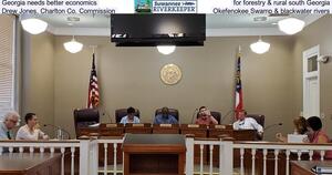 [Georgia needs better economics, for forestry & rural south Georgia, Drew Jones, Charlton Co. Commission, Okefenokee Swamp & blackwater rivers]