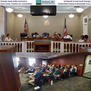 [Georgia needs better economics, for forestry & rural south Georgia, Drew Jones, Charlton Co. Commission, Okefenokee Swamp & blackwater rivers]