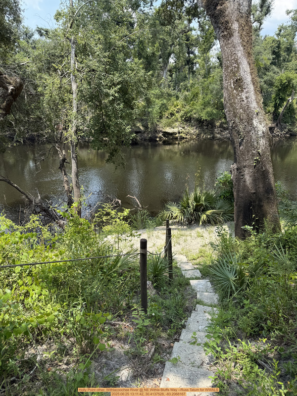 Holly Point other, Withlacoochee River @ NE Withla Bluffs Way --Russ Tatum for WWALS, 2025:06:25 13:11:42, 30.4137528, -83.2068167