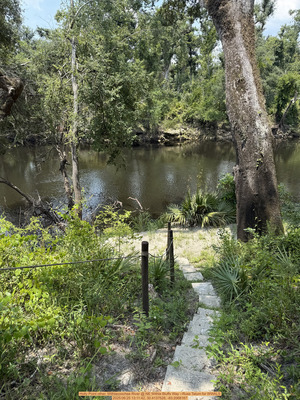 [Holly Point other, Withlacoochee River @ NE Withla Bluffs Way --Russ Tatum for WWALS, 2025:06:25 13:11:42, 30.4137528, -83.2068167]