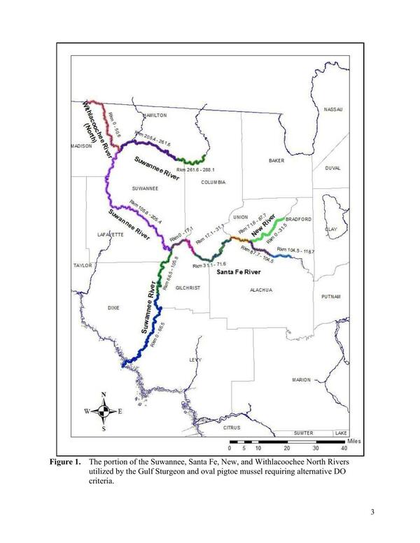 Figure 1. The portion of the Suwannee, Santa Fe, New, and Withlacoochee North Rivers utilized by the Gulf Sturgeon and oval pigtoe mussel requiring alternative DO criteria.