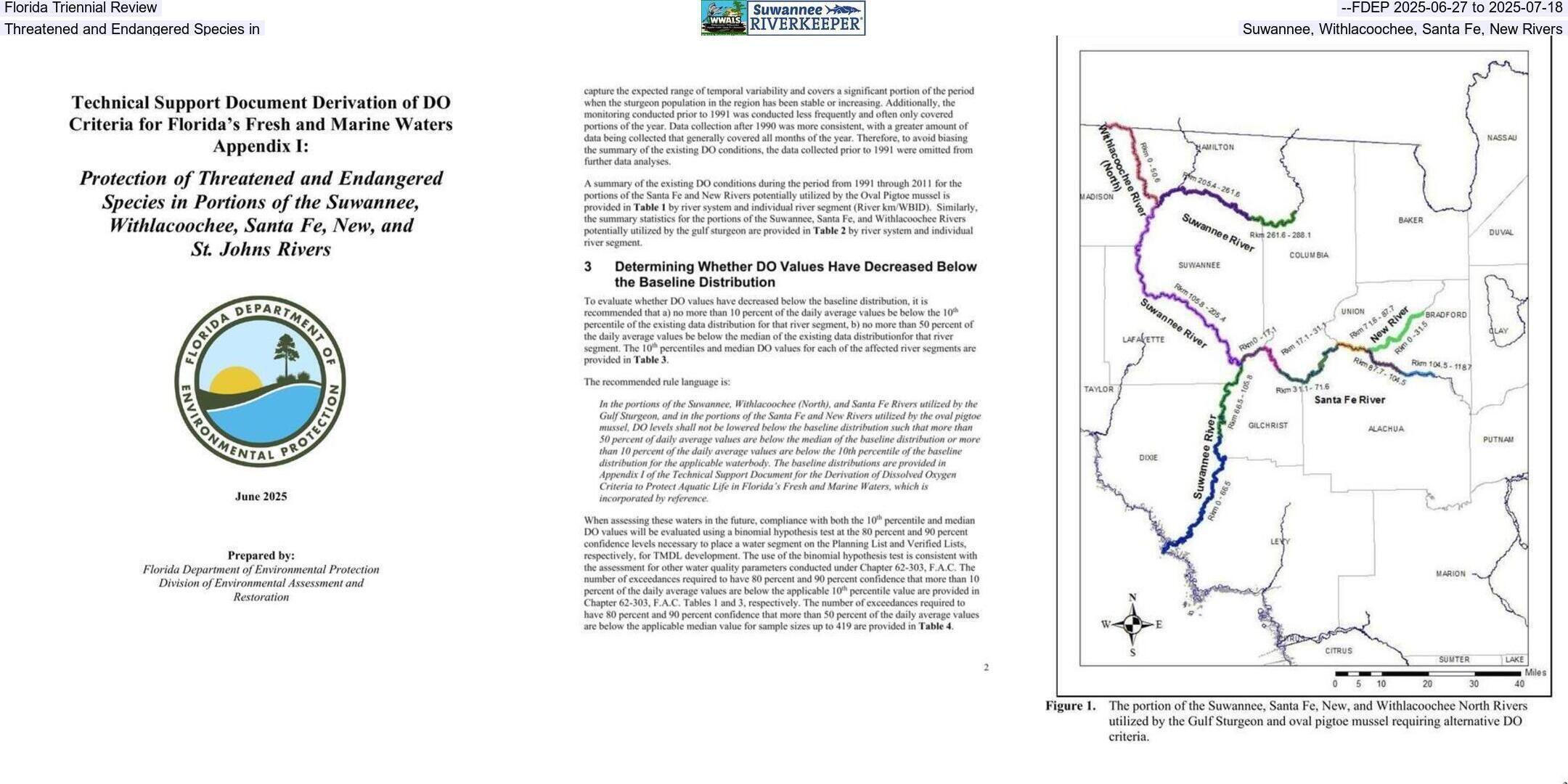 Florida Triennial Review --FDEP 2025-06-27 to 2025-07-18, Threatened and Endangered Species in Suwannee, Withlacoochee, Santa Fe, New Rivers