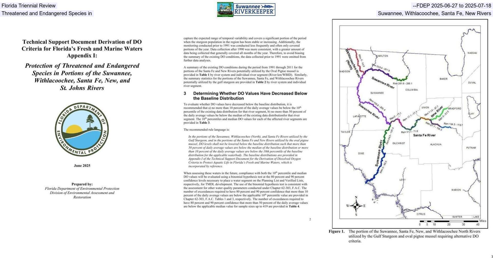 [Florida Triennial Review --FDEP 2025-06-27 to 2025-07-18, Threatened and Endangered Species in Suwannee, Withlacoochee, Santa Fe, New Rivers]