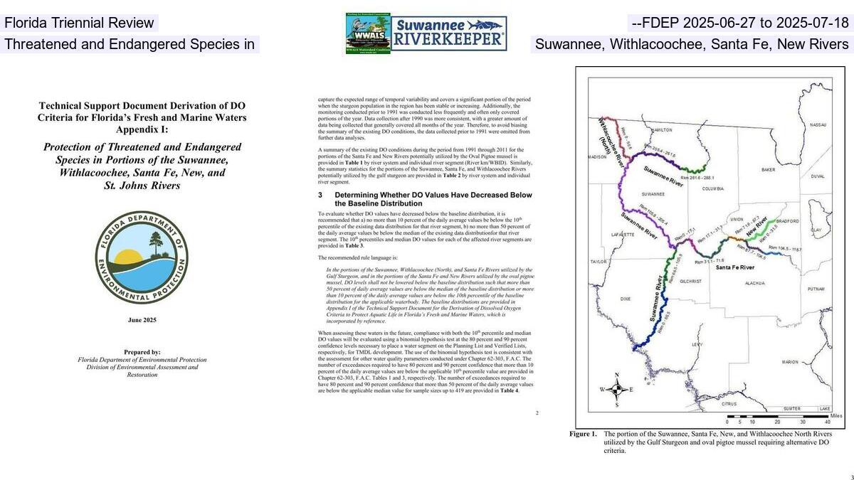 Florida Triennial Review --FDEP 2025-06-27 to 2025-07-18, Threatened and Endangered Species in Suwannee, Withlacoochee, Santa Fe, New Rivers