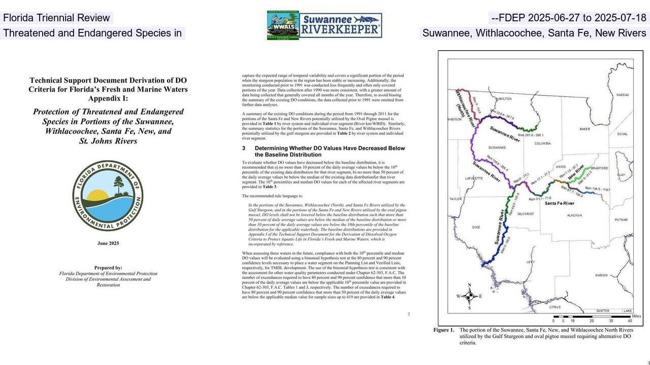 Florida Triennial Review --FDEP 2025-06-27 to 2025-07-18, Threatened and Endangered Species in Suwannee, Withlacoochee, Santa Fe, New Rivers