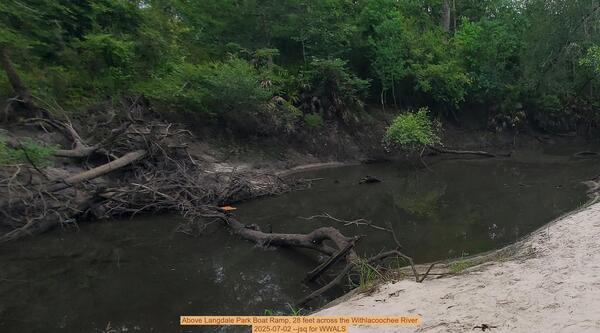 [Above Langdale Park Boat Ramp, 28 feet across the Withlacoochee River, 2025-07-02 --jsq for WWALS]