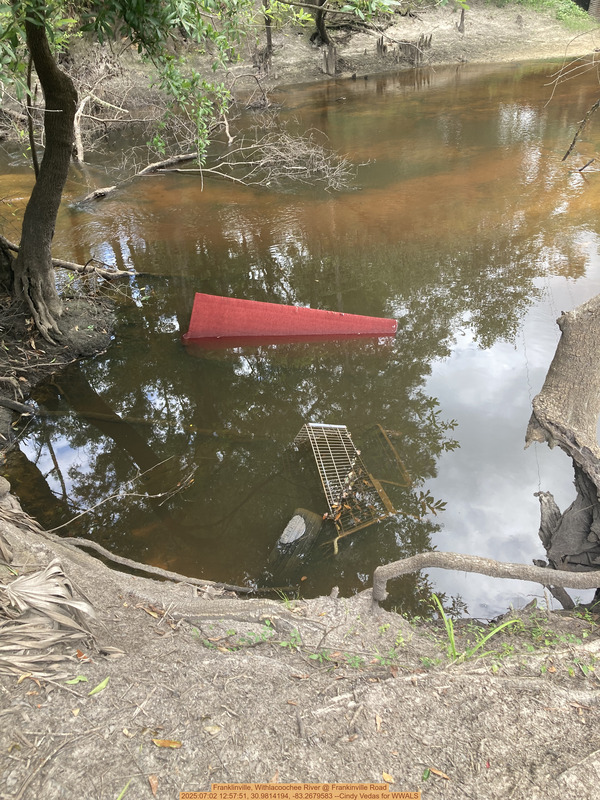 [Franklinville, Withlacoochee River @ Frankinville Road, 2025:07:02 12:57:51, 30.9814194, -83.2679583 --Cindy Vedas for WWALS]