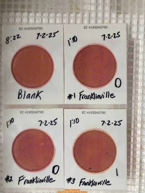 Plates, Franklinville 2025-07-02 --Cindy Vedas for WWALS