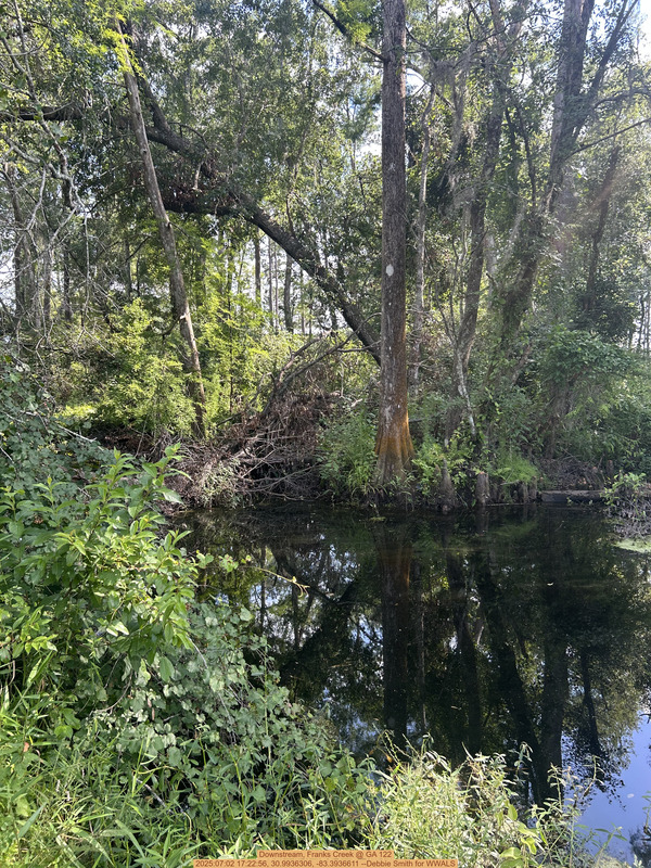 Downstream, Franks Creek @ GA 122, 2025:07:02 17:22:56, 30.9936306, -83.3936611 --Debbie Smith for WWALS