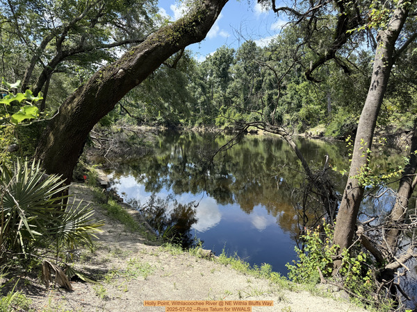 [Holly Point, Withlacoochee River @ NE Withla Bluffs Way, 2025-07-02 --Russ Tatum for WWALS]