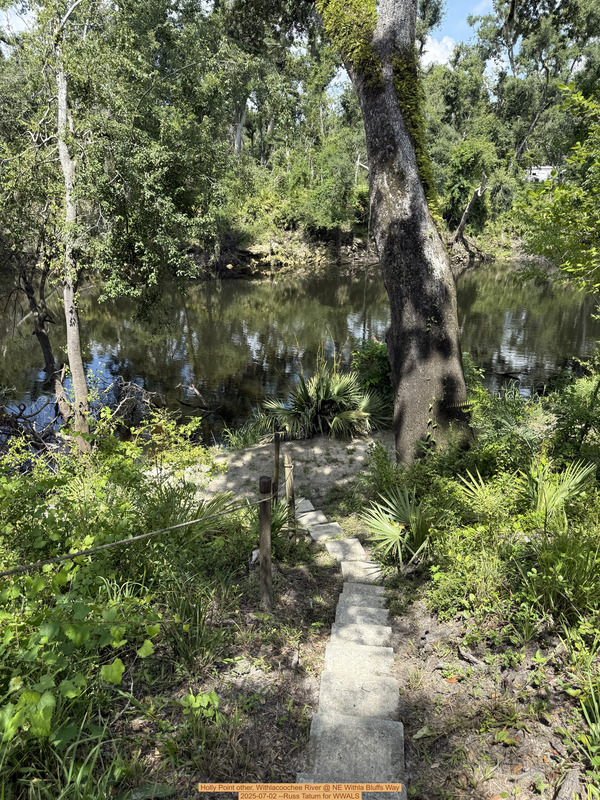 Holly Point other, Withlacoochee River @ NE Withla Bluffs Way, 2025-07-02 --Russ Tatum for WWALS