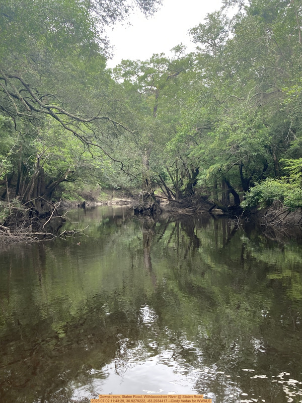 Downstream, Staten Road, Withlacoochee River @ Staten Road, 2025:07:02 11:43:29, 30.9279222, -83.2934417 --Cindy Vedas for WWALS