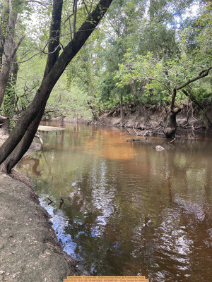 [Downstream, Franklinville, Withlacoochee River @ Frankinville Road, 2025:07:02 13:01:29, 30.9815083, -83.2680139 --Cindy Vedas for WWALS]