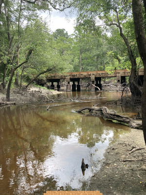 [Tyler Bridge, Franklinville, Withlacoochee River @ Frankinville Road, 2025:07:02 13:01:46, 30.9815806, -83.2679667 --Cindy Vedas for WWALS]