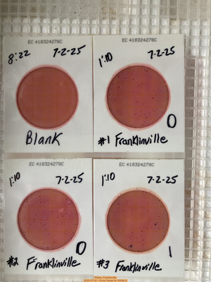 [Plates, Franklinville 2025-07-02 --Cindy Vedas for WWALS]