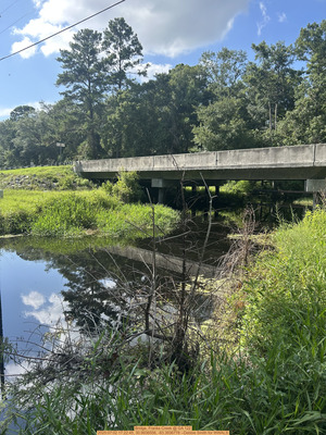 [Bridge, Franks Creek @ GA 122, 2025:07:02 17:22:45, 30.9936556, -83.3936778 --Debbie Smith for WWALS]