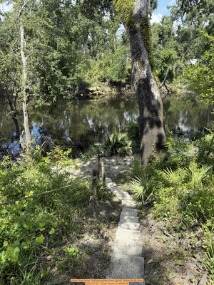 [Holly Point other, Withlacoochee River @ NE Withla Bluffs Way, 2025-07-02 --Russ Tatum for WWALS]