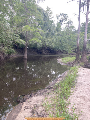 [Upstream, Langdale Park Boat Ramp, Withlacoochee River @ North Valdosta Road, 2025:07:02 08:59:00, 30.8875556, -83.3243167 --Cindy Vedas for WWALS]