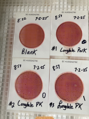[Plates, Langdale Park Boat Ramp, 2025-07-02 --Cindy Vedas for WWALS]