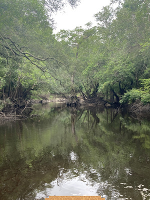 [Downstream, Staten Road, Withlacoochee River @ Staten Road, 2025:07:02 11:43:29, 30.9279222, -83.2934417 --Cindy Vedas for WWALS]
