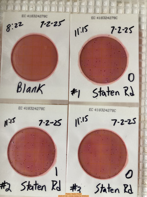 [Plates, Staten Road, 2025-07-02 --Cindy Vedas for WWALS]